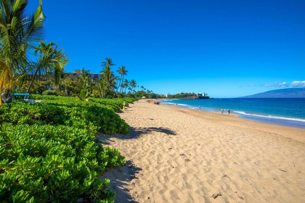 Phong cảnh thiên nhiên gần căn hộ