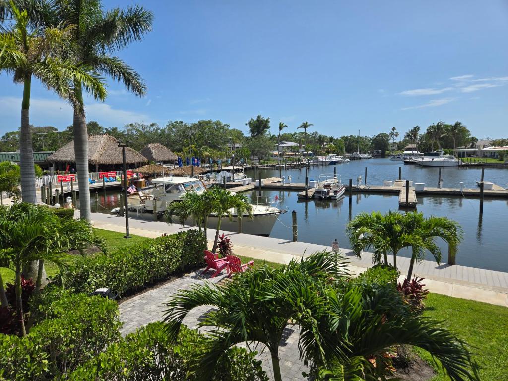 a marina with boats in the water and palm trees at Sunset Cove - Water View in Sarasota