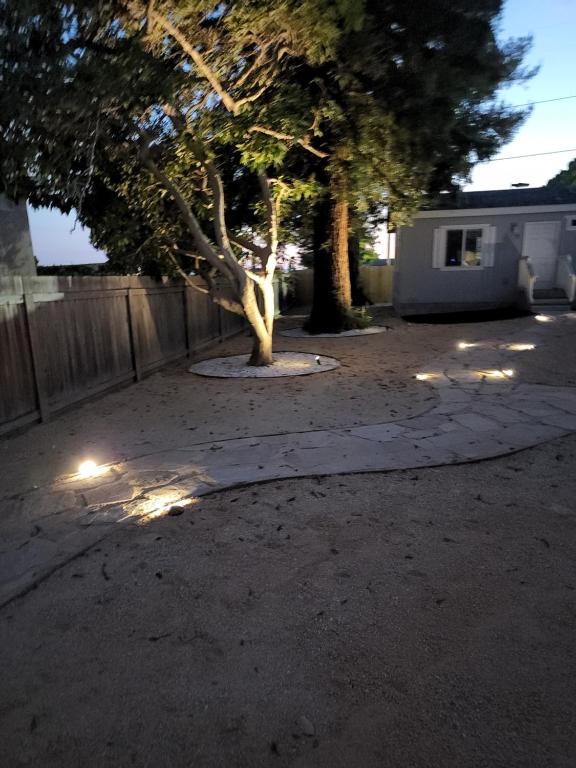 a tree in the middle of a driveway with lights at Cozy and comfortable Home next to everything in Ventura