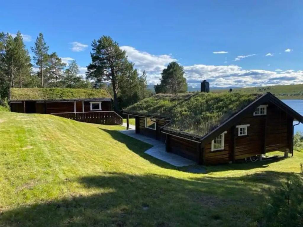 a log cabin with a grass roof on a field at Mountain Cabin By Hundsåvatnet With Large Veranda in Fannrem
