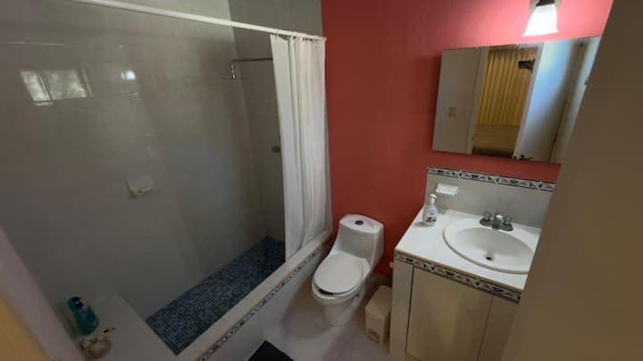 a bathroom with a shower and a toilet and a sink at Matraca 74 in Celestún