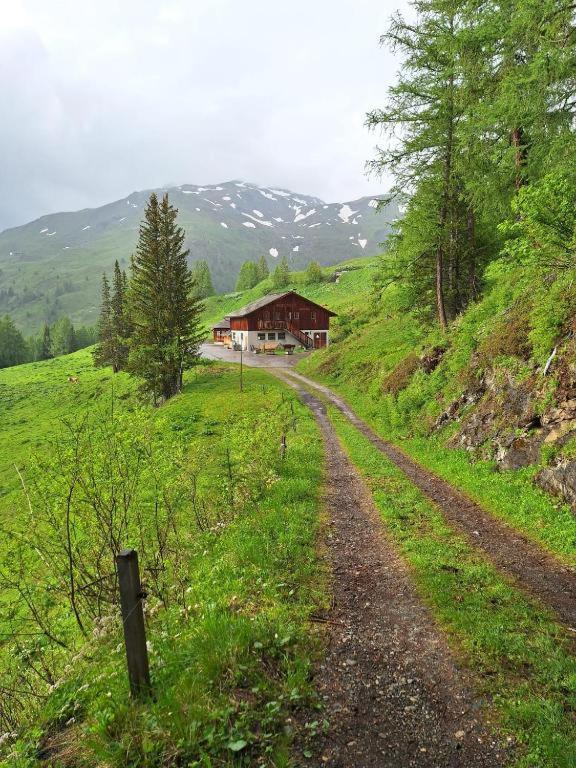 a dirt road leading to a house on a hill at Tauernbergalm in Heiligenblut