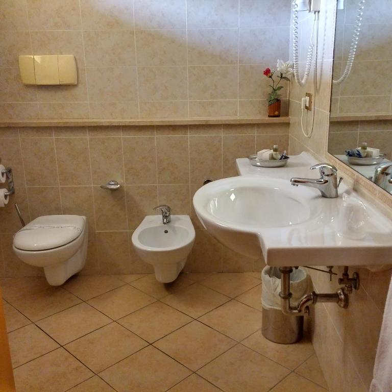 Koupelna v ubytování Hotel Turrita