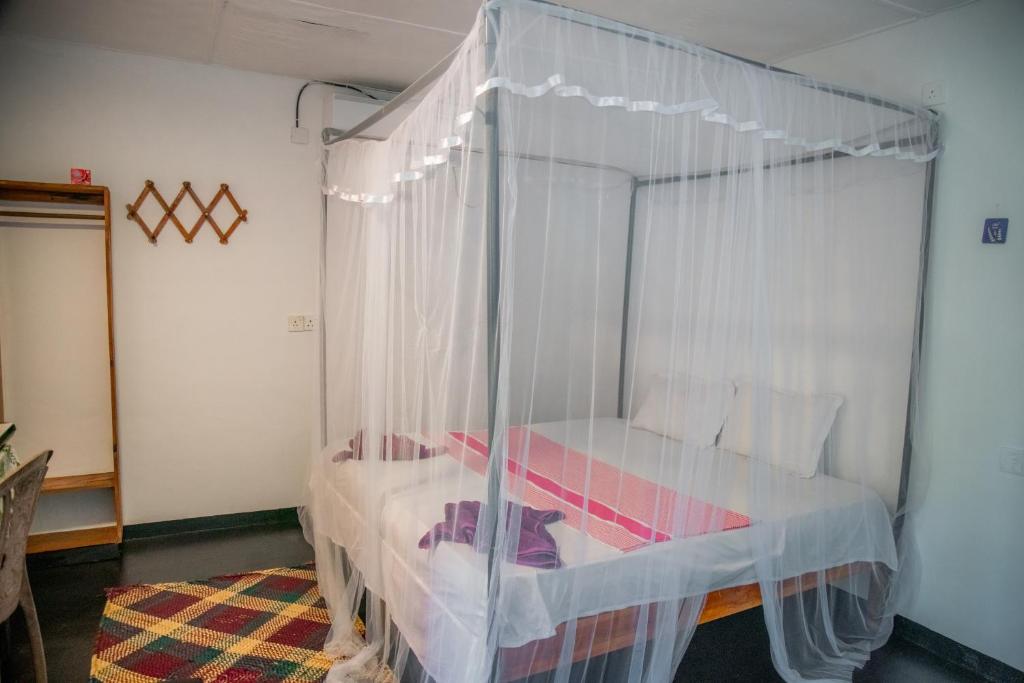 Bay Dreams Beach Hotel & Surf Camp - 1