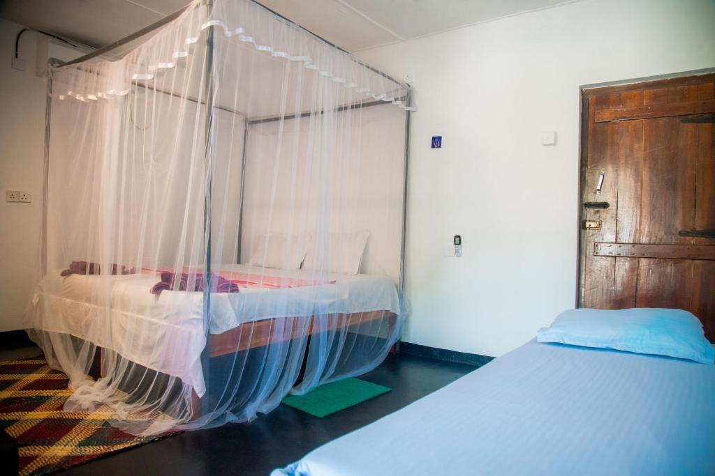 Bay Dreams Beach Hotel & Surf Camp - 4