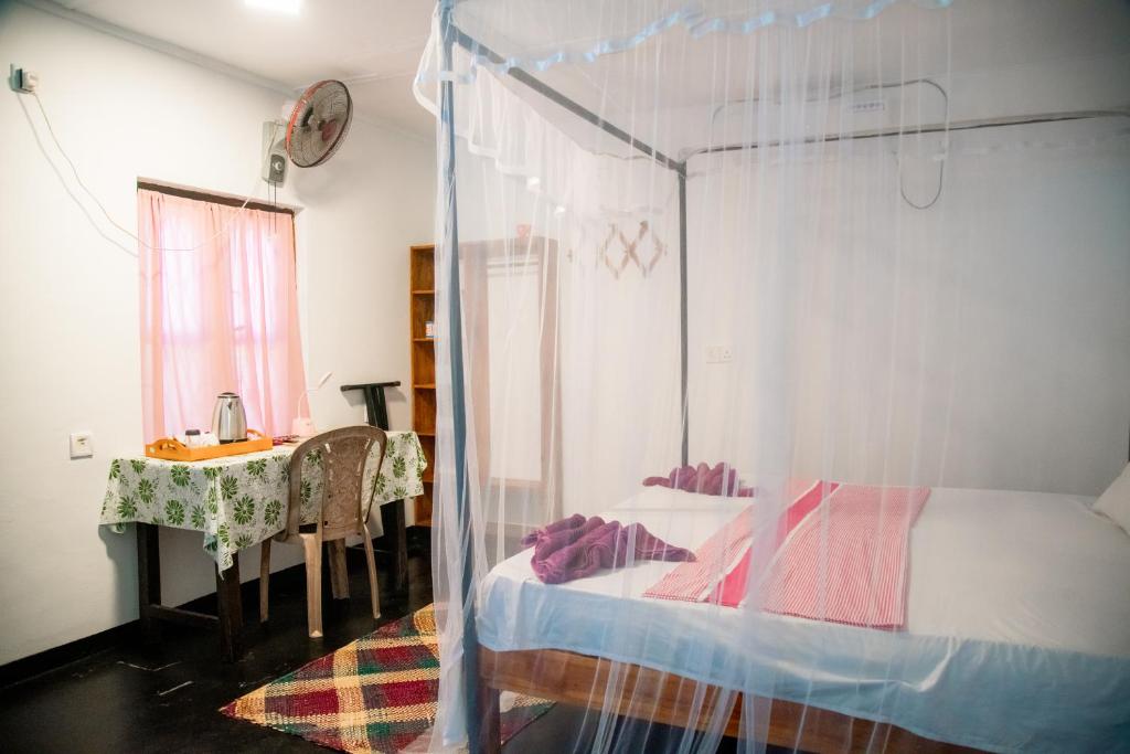 Bay Dreams Beach Hotel & Surf Camp - 3