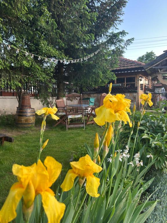 Zahrada ubytování Guest House Rila