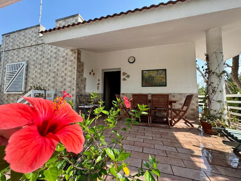 a patio of a house with a red flower at Villa Ciaky in Leporano Marina