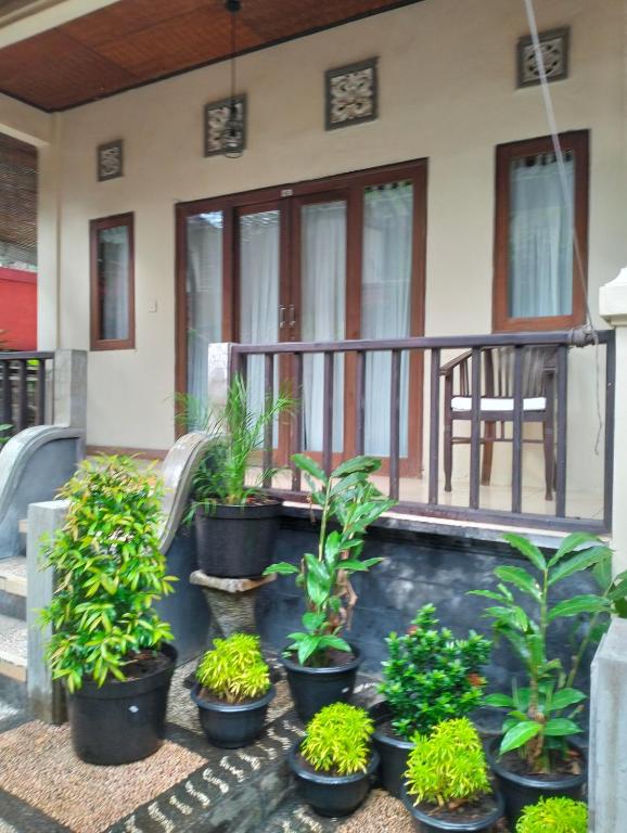 a group of potted plants on the front of a house at Villa coral Cafe in Amed