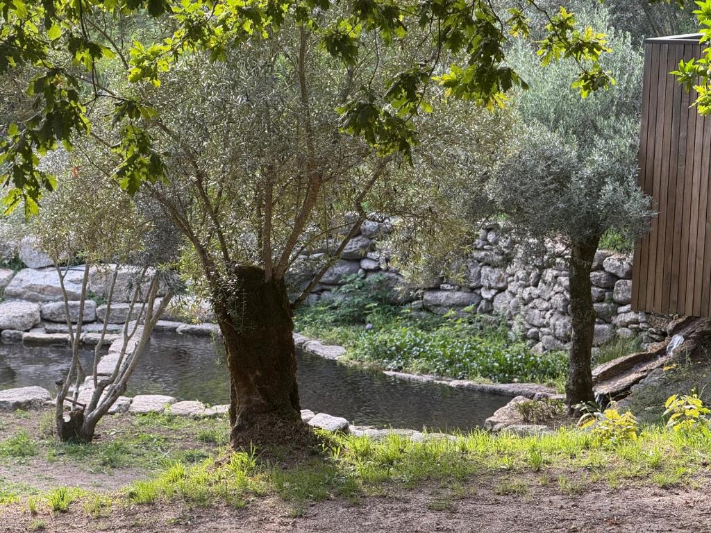 Zahrada ubytování Quinta Gerês