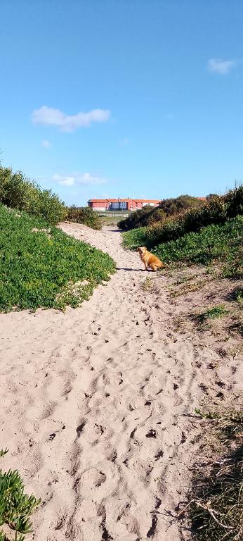 Paesaggio naturale nelle vicinanze della casa vacanze