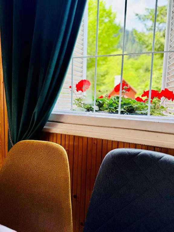 a room with a window with red flowers in a window at Casa NOR in Tarcău-Gheuca
