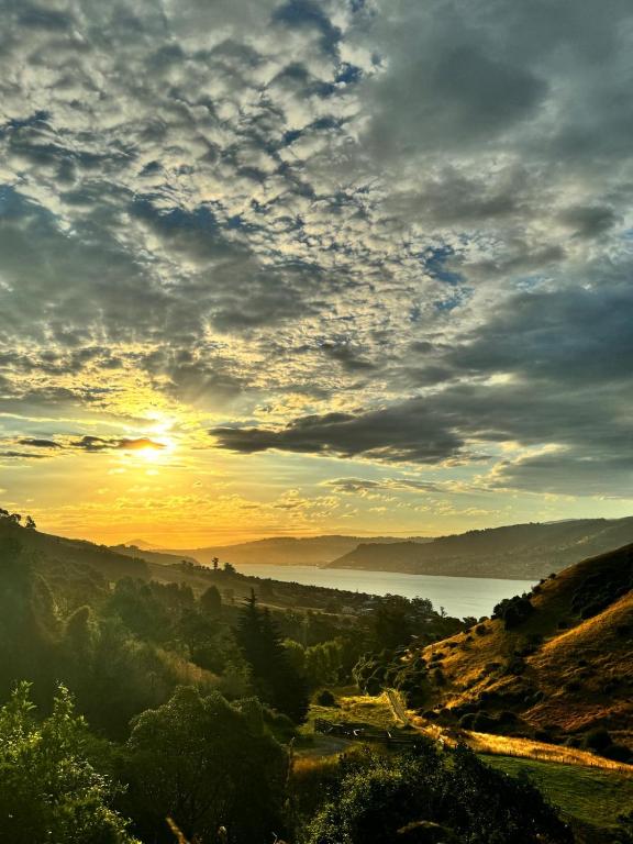 The Haven at Pukehiki - Resim 5