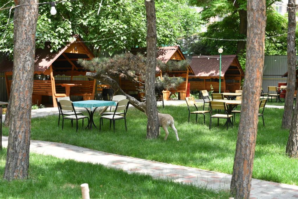 Zahrada ubytování Green Palace