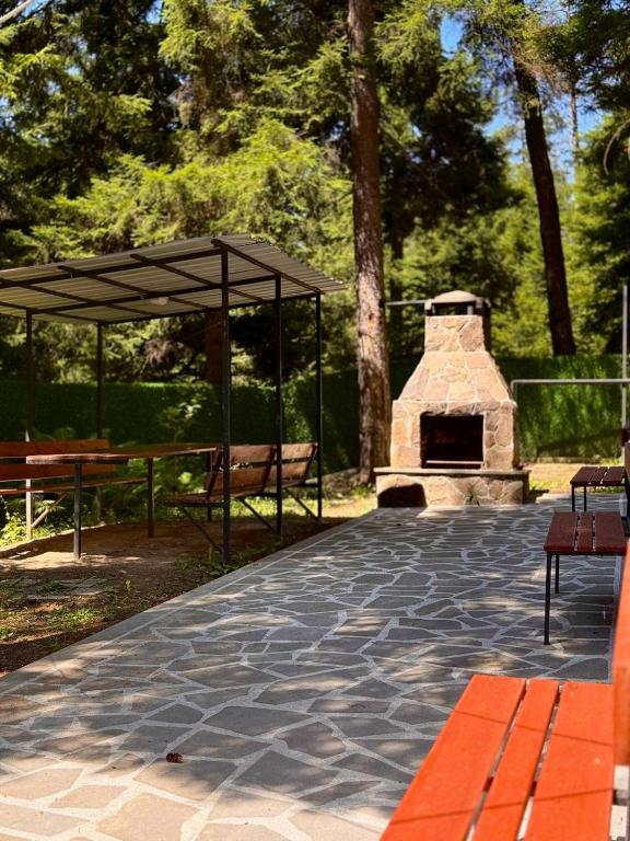 Foto dalla galleria di Hotel forest echo a Borjomi