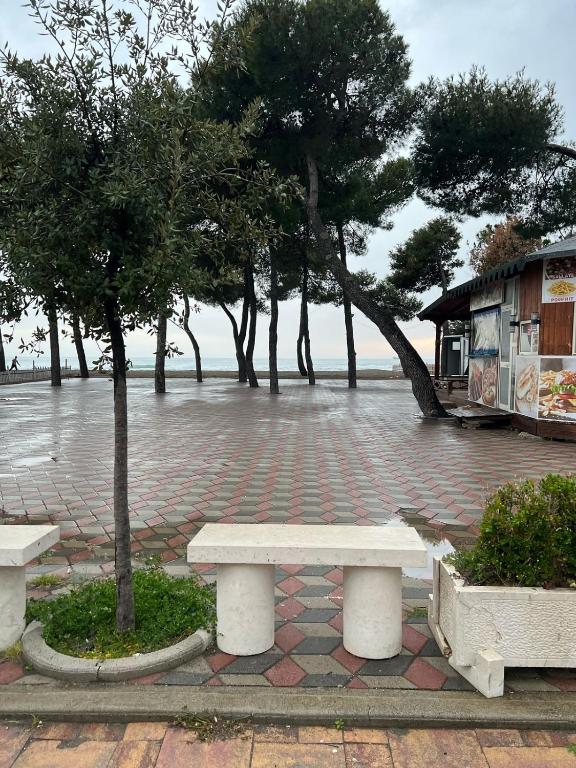 a park with two white benches and trees at Al mare! 01 in Shëngjin