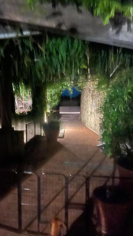 A garden outside Podere Le Vedute