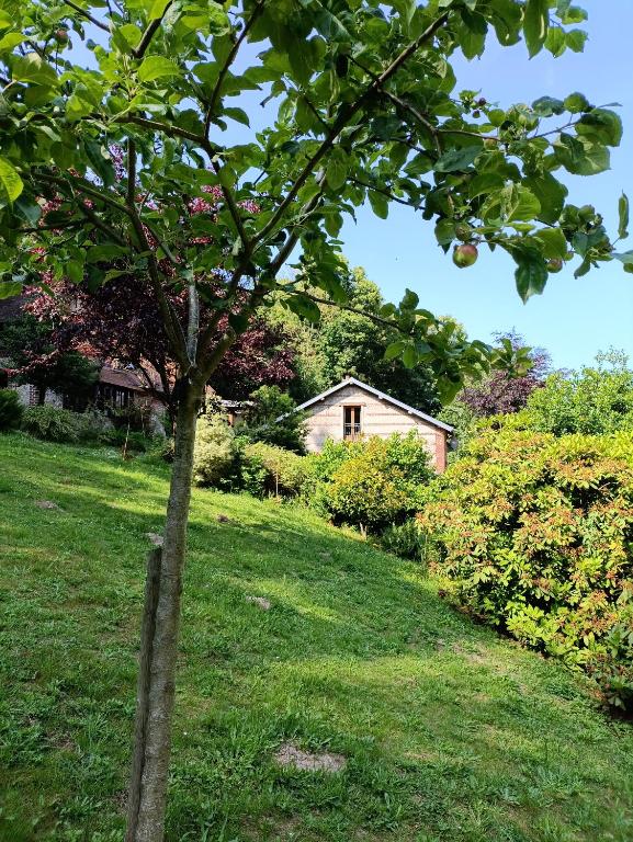 un arbre dans une cour avec une maison en arrière-plan dans l'établissement La Bergerie, à Étretat