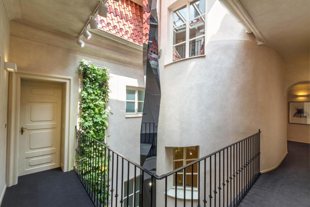 Golden Star - Resim 15