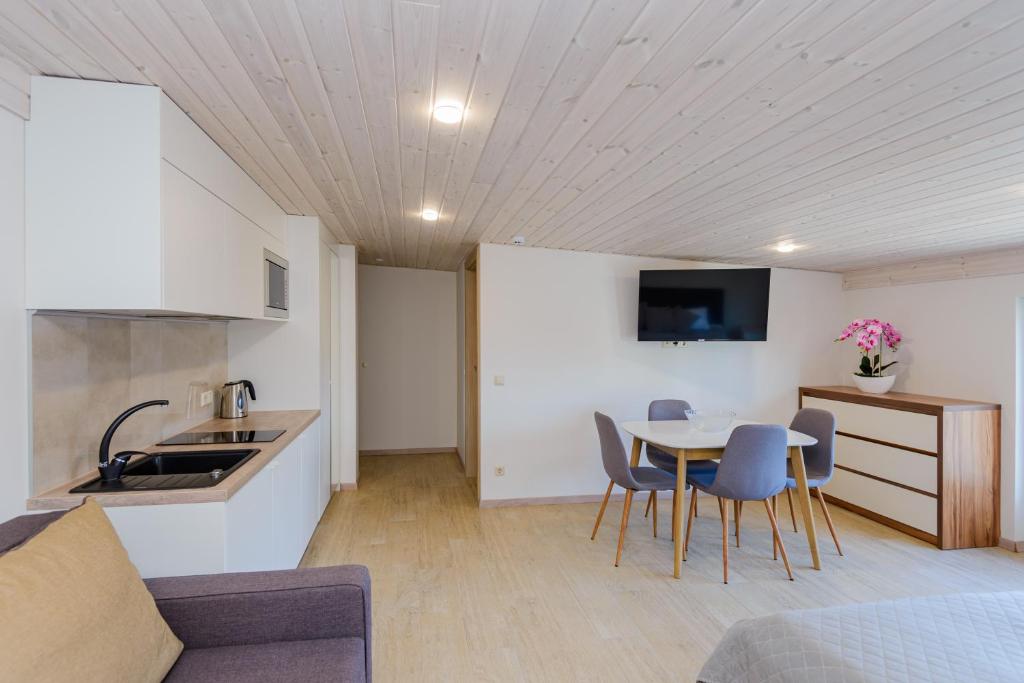 EGITOS apartamentai - Penthouse-Wohnung