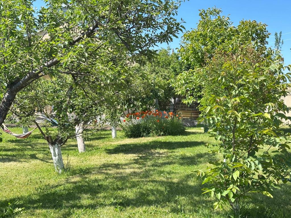 Zahrada ubytování Chkalovka Guest House With Sevan View