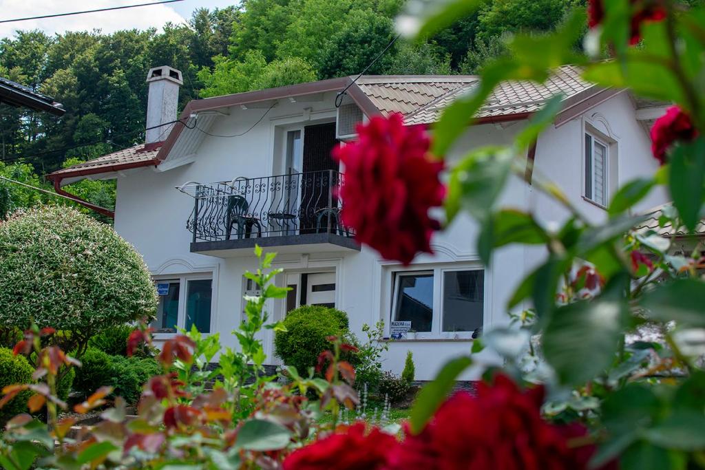 Apartman Lara