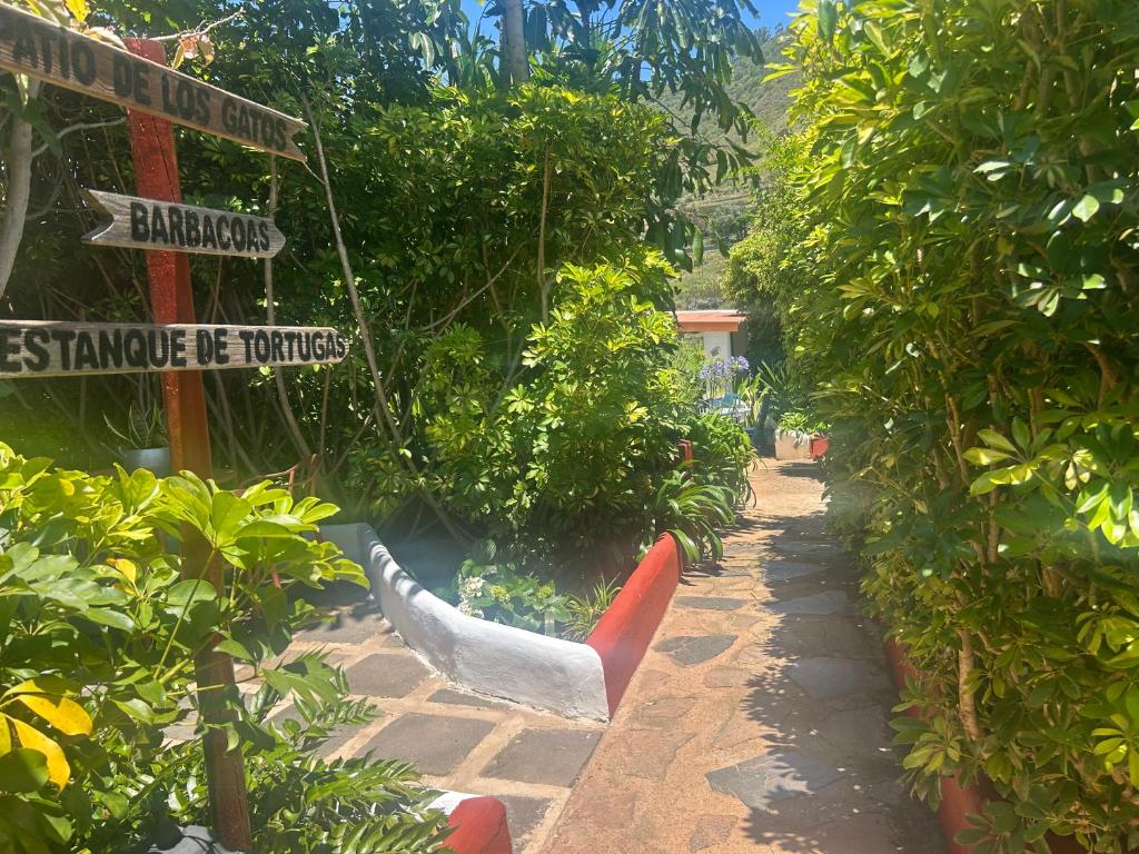 Zahrada ubytování CASA DIEGO