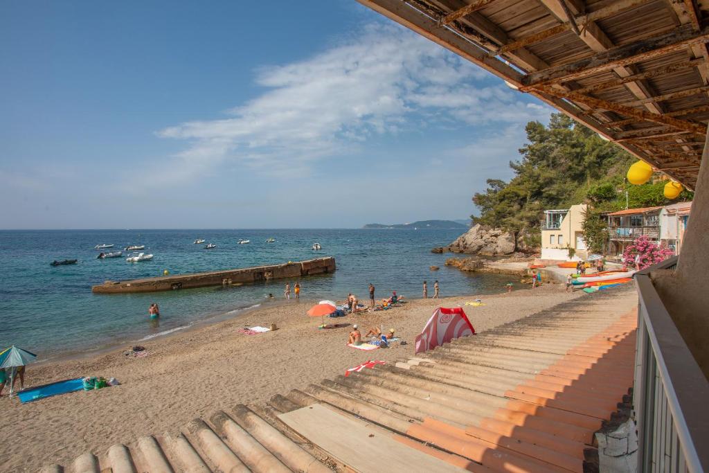 Naturlandskabet i nærheden af lejligheden