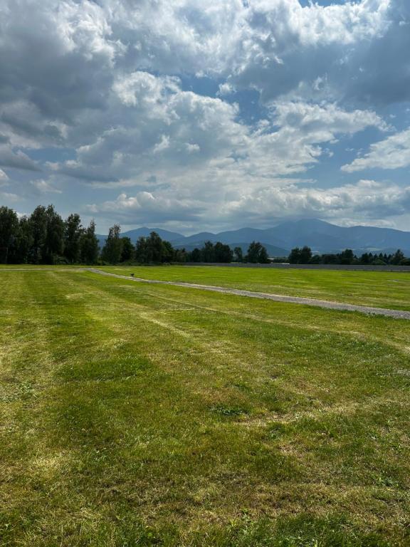 un prato erboso con montagne sullo sfondo di Tinyhome Spielberg -Container Lodge a Flatschach