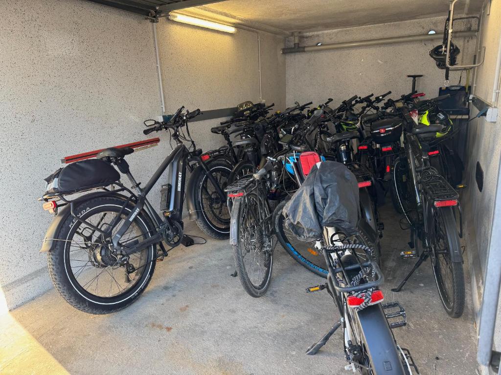Jízda na kole v ubytování Hotel Zum Ritter nebo okolí