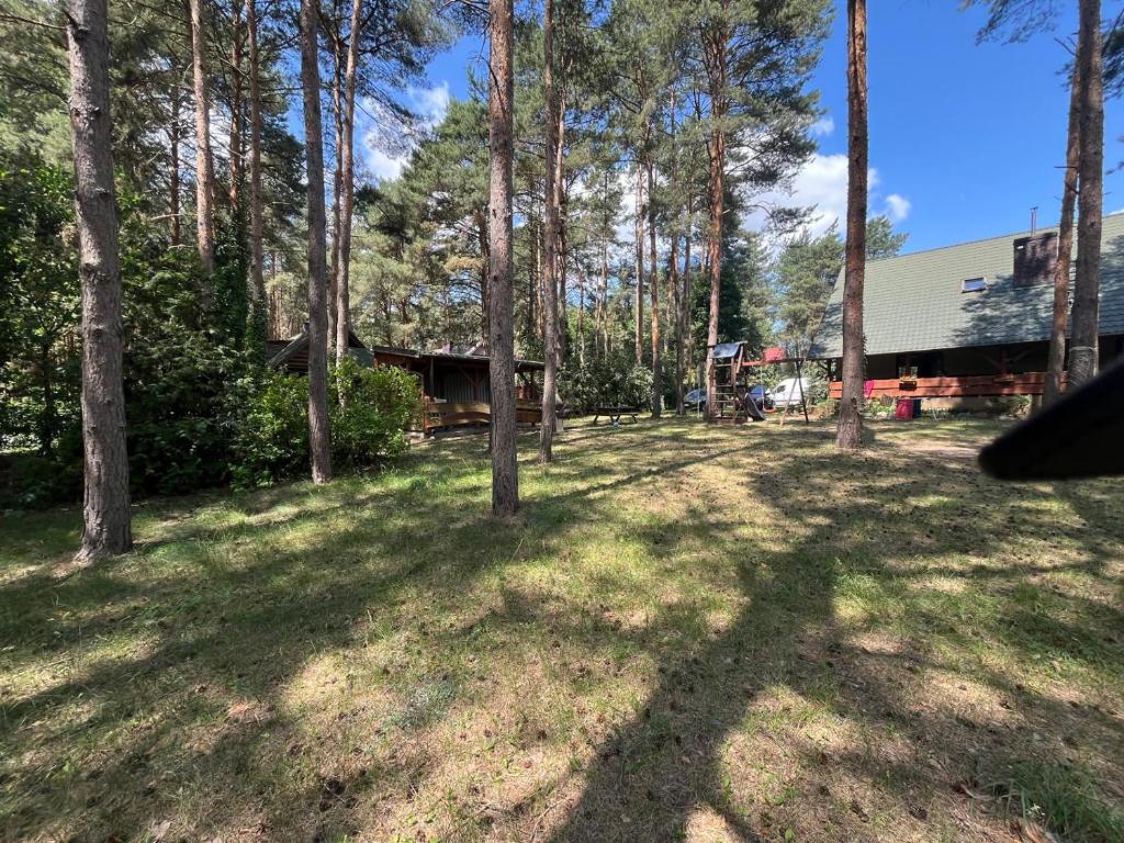 a yard with trees and a building in the background at Dom Letniskowy IRENA in Wielen Zaobrzanski