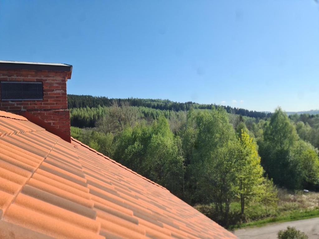 Příroda nedaleko ubytování v soukromí