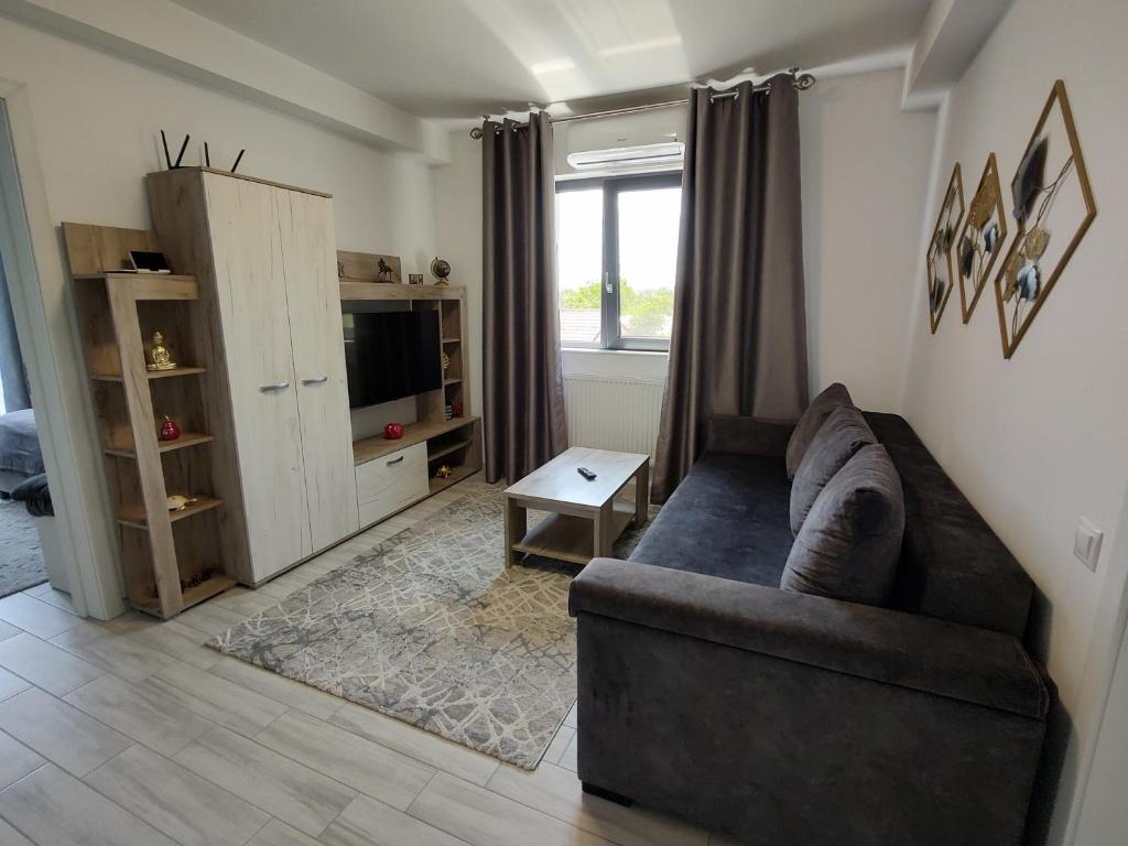 a living room with a couch and a television at Kve Apartment in Iaşi