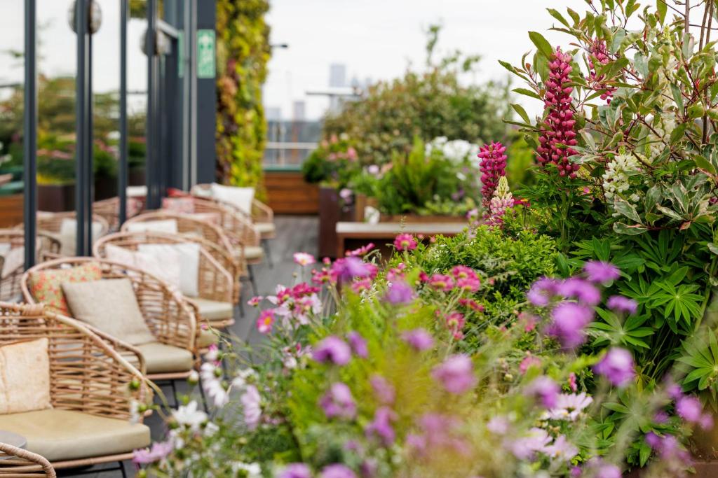 Zahrada ubytování Treehouse Hotel London