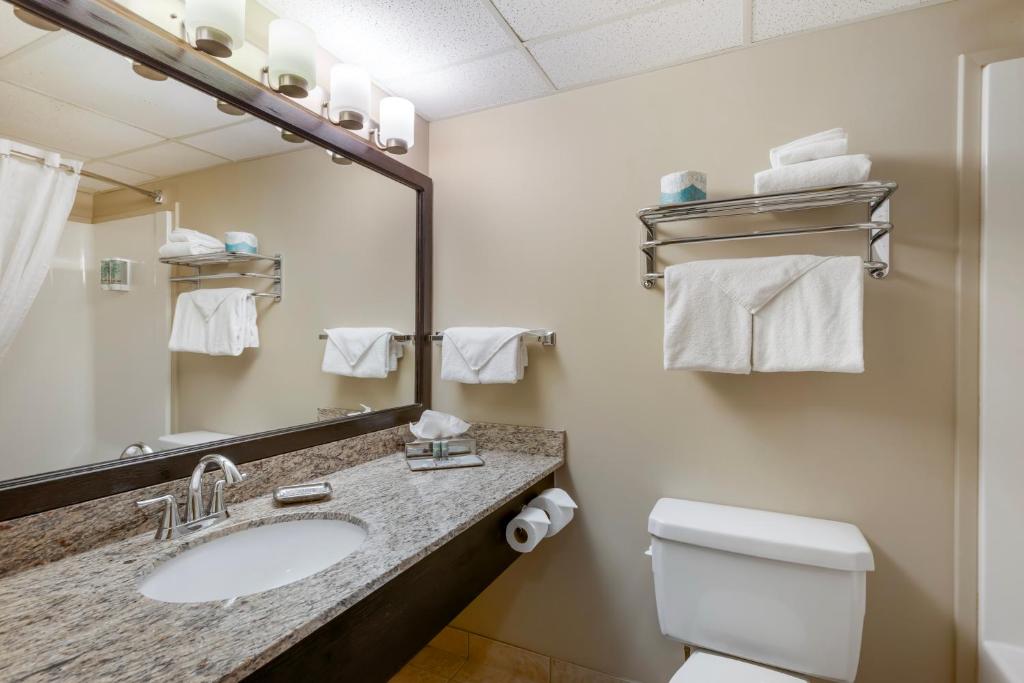 Best Western Rocky Mountain House Inn & Suites - King Room With Roll-In Shower - Disability Access