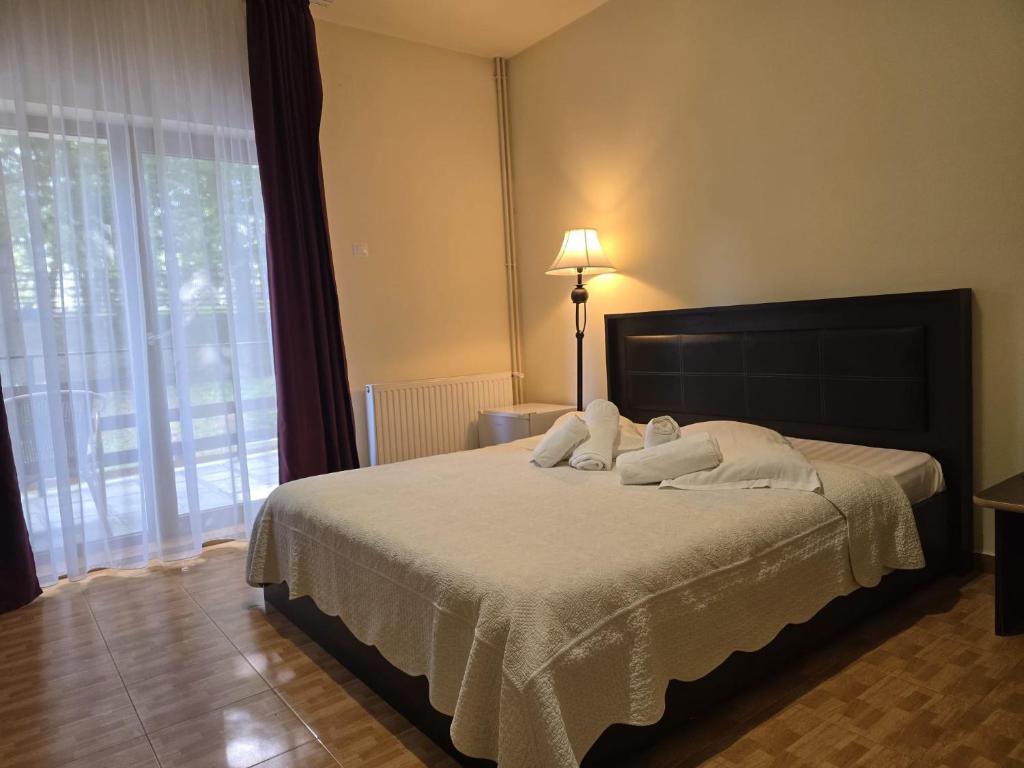 Vila Cristalfrost - Double Room With Private Bathroom