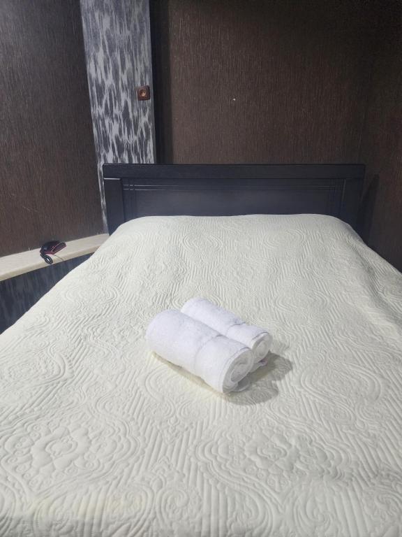 Postel nebo postele na pokoji v ubytování Hotel Piza