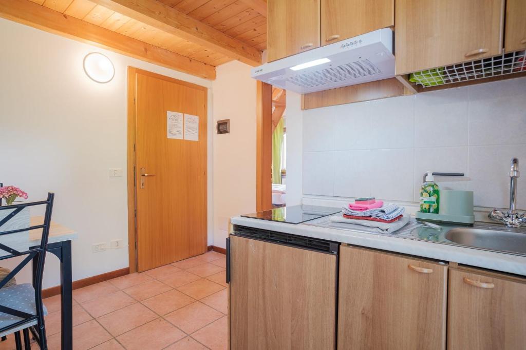 Kuchyň nebo kuchyňský kout v ubytování APARTHOTEL STREMBO