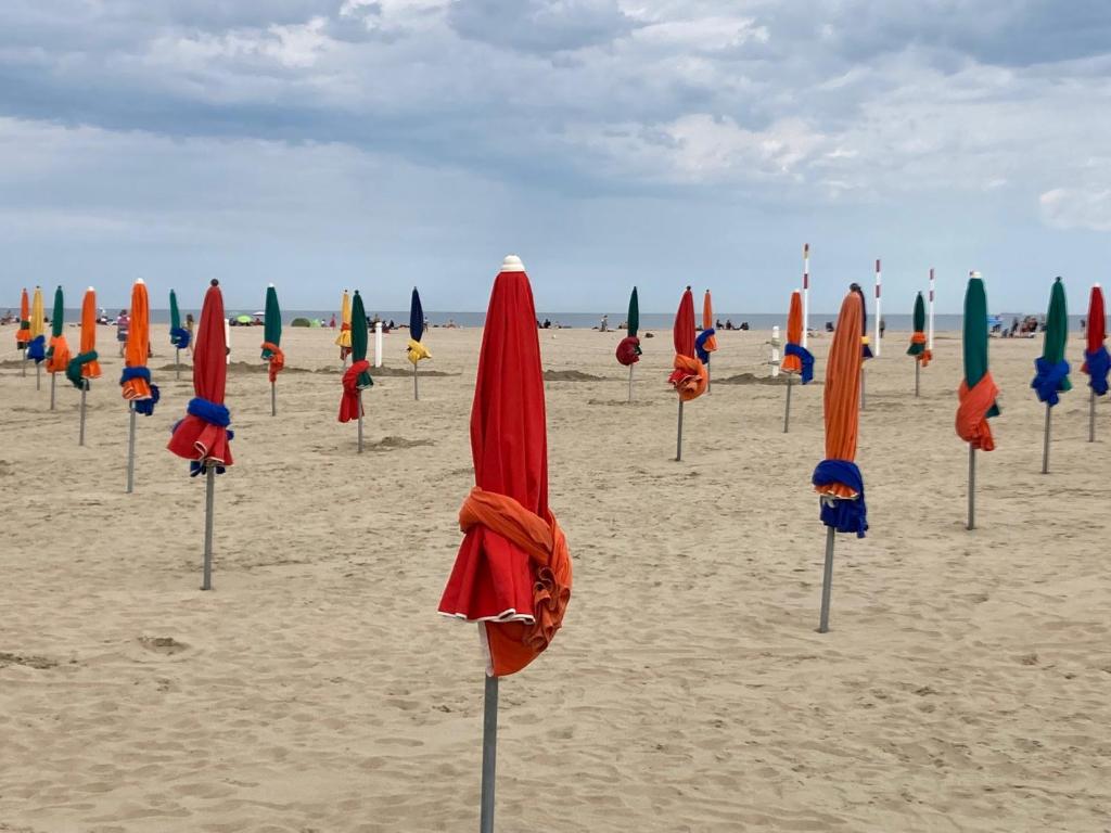 - un bouquet de parasols sur la plage dans l'établissement Beau 2P à Deauville avec balcon, à La Celle-sous-Gouzon