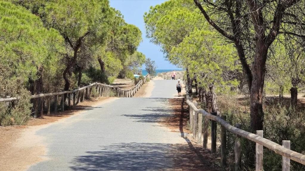 un camino con árboles a su lado en Casa Laura y Sergio, en Guardamar del Segura