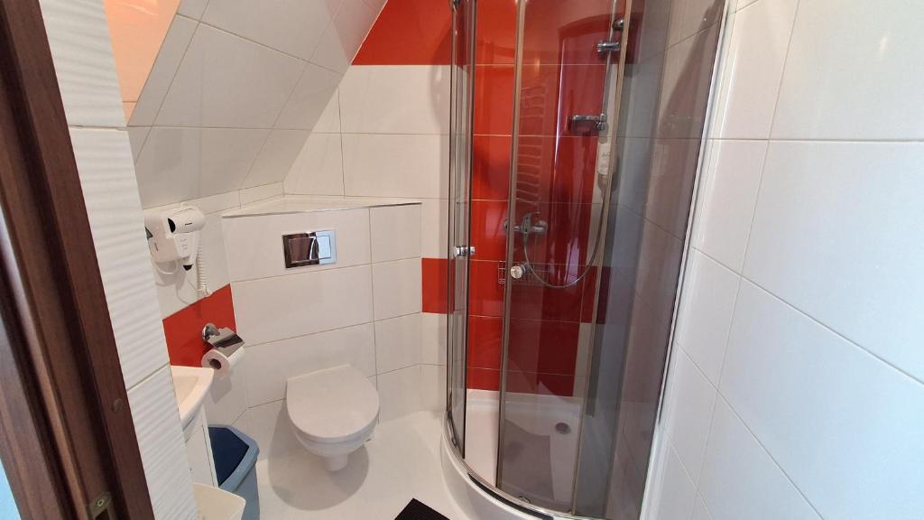 Willa na Olczańskim Wierchu - apartamenty i pokoje - 9