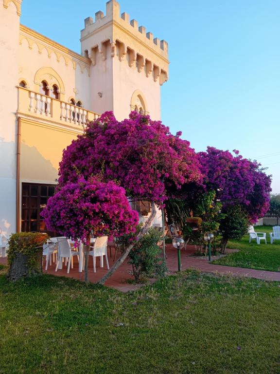 Zahrada ubytování villa amodeo