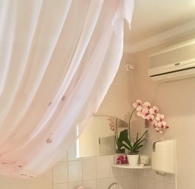 Fotografia z galérie ubytovania Ádám Apartmanház v Segedíne