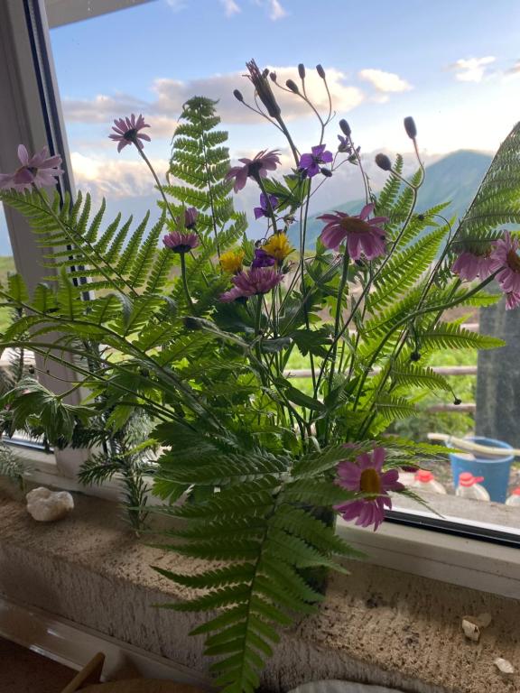 Nespecifikovaný výhled na hory nebo výhled na hory při pohledu z hostelu