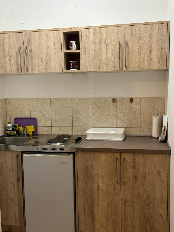 Kuchyň nebo kuchyňský kout v ubytování Studio Apartments Domenik