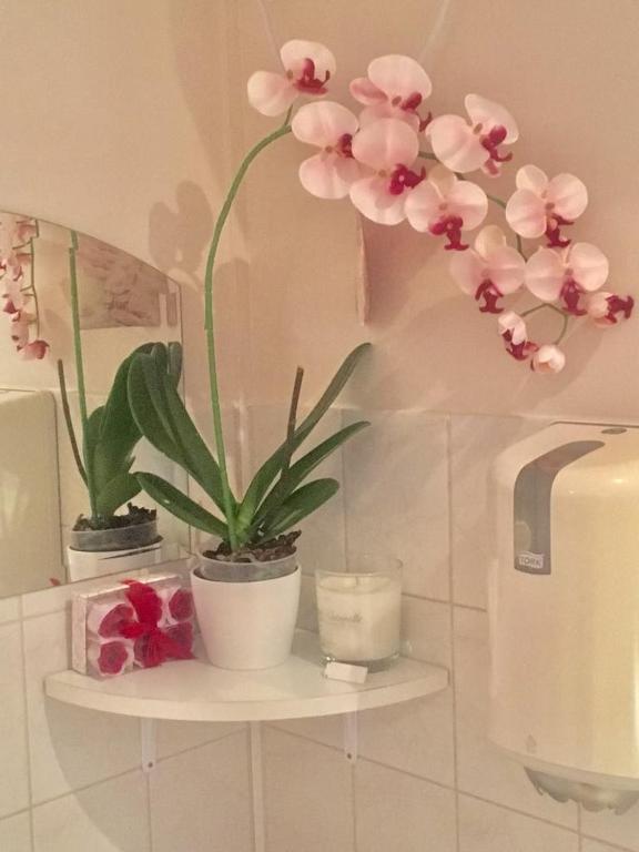 Fotografia z galérie ubytovania Ádám Apartmanház v Segedíne