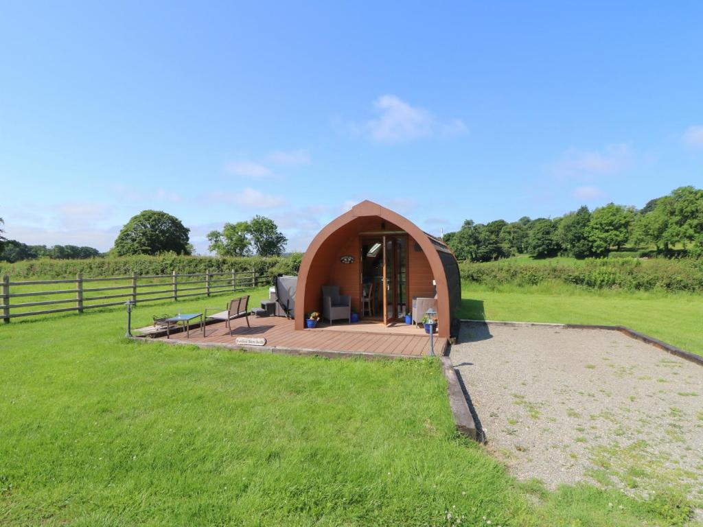 a dome house in a field of grass at Bwthyn Bach Brefi in Tregaron