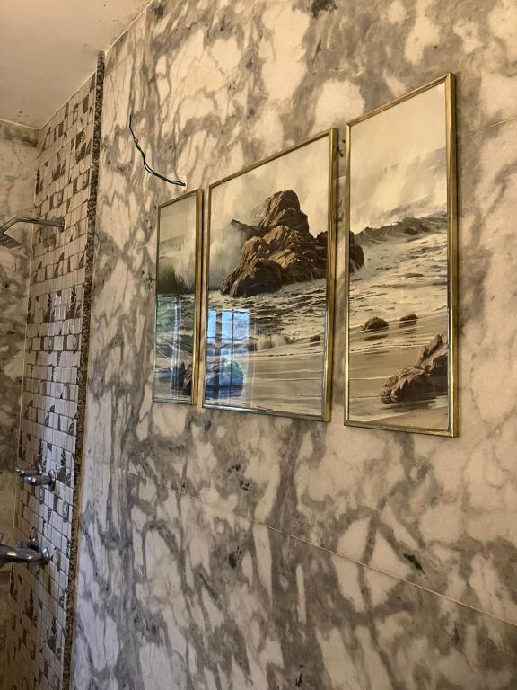 Fotografie z fotogalerie ubytování The Citadel v destinaci Šrínagar