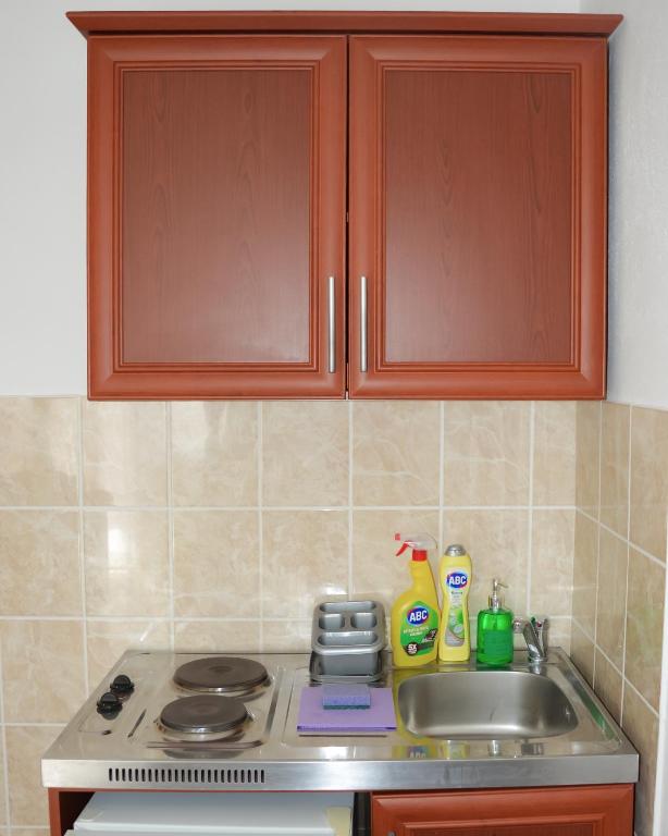 Kuchyň nebo kuchyňský kout v ubytování Zlatni Pijesak - Apartmani Čanj