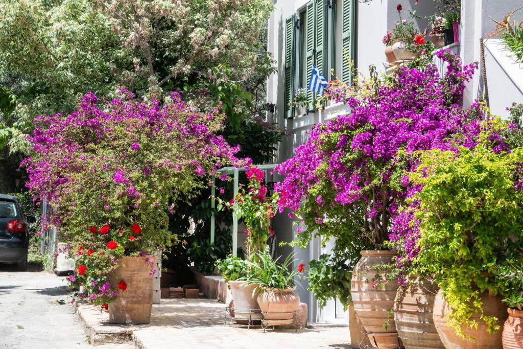 Κήπος έξω από το Bookamvillia Apartment